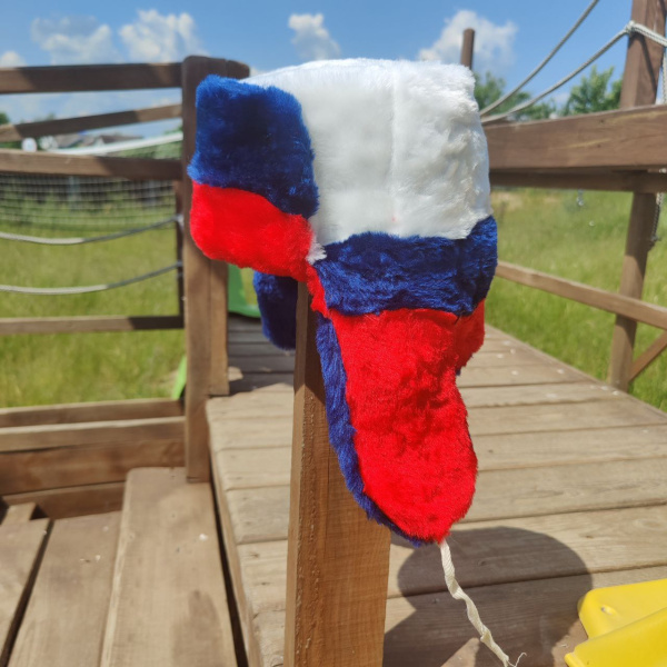 Шапка-ушанка сувенирная триколор "Россия" / Унисекс / Экомех / Демисезонный головной убор